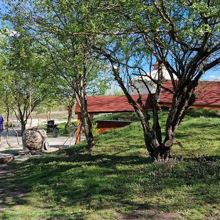 Gala Park Fpv Kemping