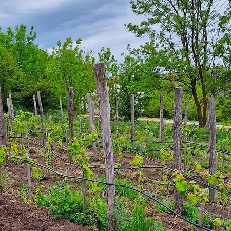 Gala Park Fpv Kemping