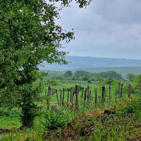 キャンプ場 Gala Park Fpv *