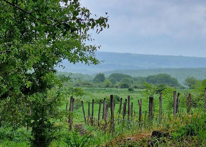 אתר קמפינג Gala Park Fpv *
