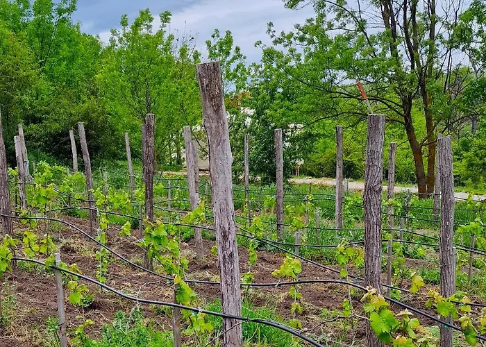 Gala Park Fpv אתר קמפינג